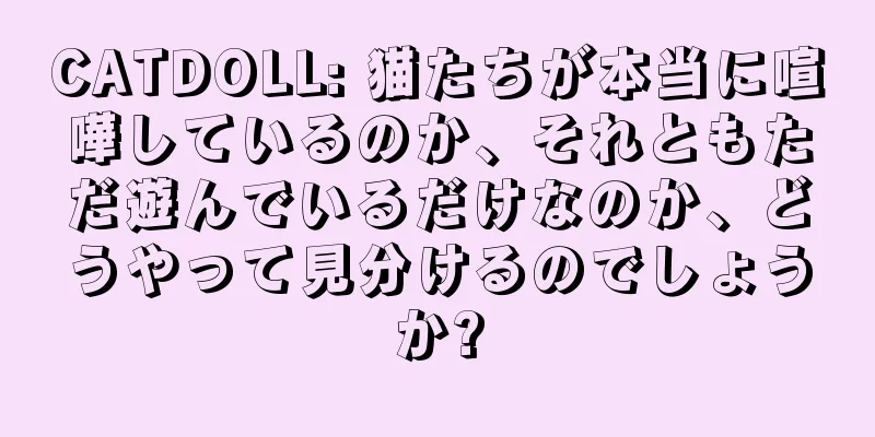 CATDOLL: 猫たちが本当に喧嘩しているのか、それともただ遊んでいるだけなのか、どうやって見分けるのでしょうか?