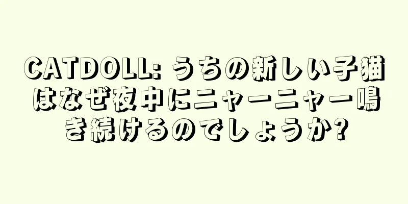 CATDOLL: うちの新しい子猫はなぜ夜中にニャーニャー鳴き続けるのでしょうか?