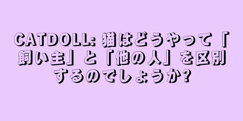 CATDOLL: 猫はどうやって「飼い主」と「他の人」を区別するのでしょうか?
