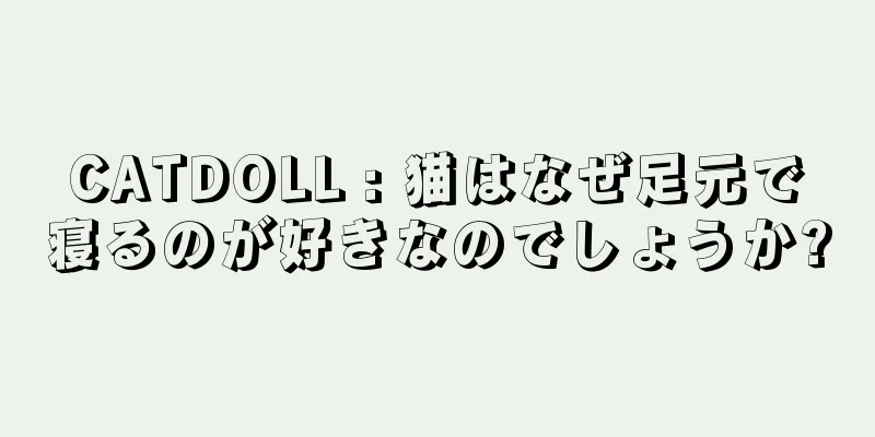 CATDOLL : 猫はなぜ足元で寝るのが好きなのでしょうか?
