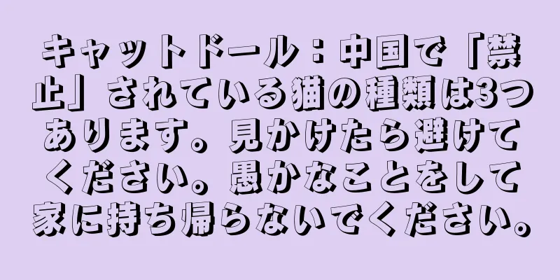 キャットドール：中国で「禁止」されている猫の種類は3つあります。見かけたら避けてください。愚かなことをして家に持ち帰らないでください。