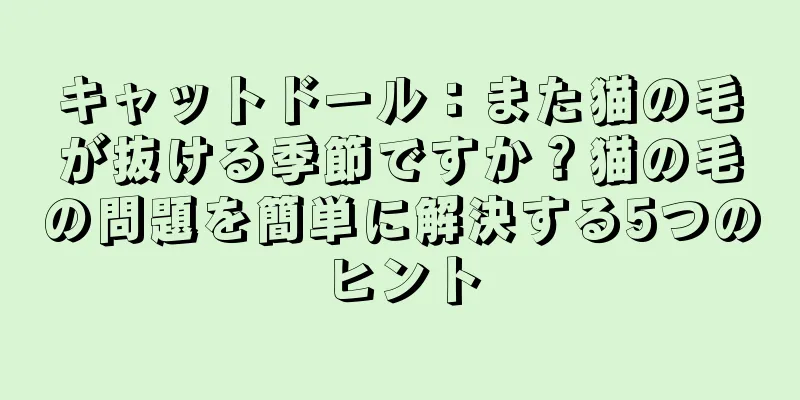 キャットドール：また猫の毛が抜ける季節ですか？猫の毛の問題を簡単に解決する5つのヒント