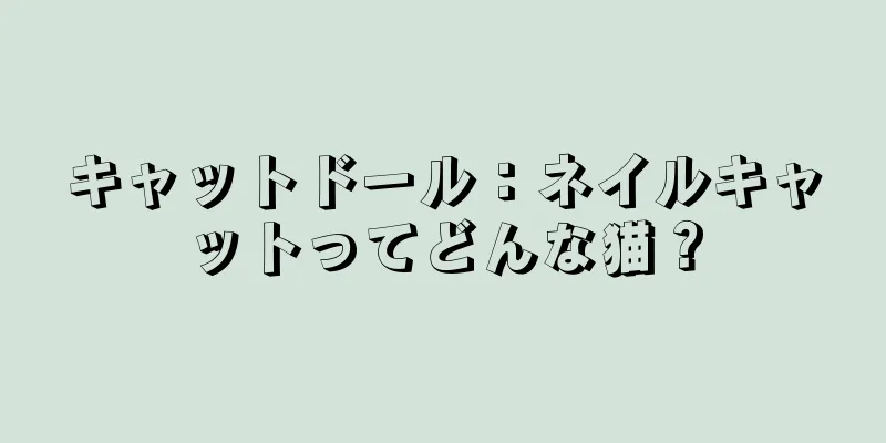 キャットドール：ネイルキャットってどんな猫？