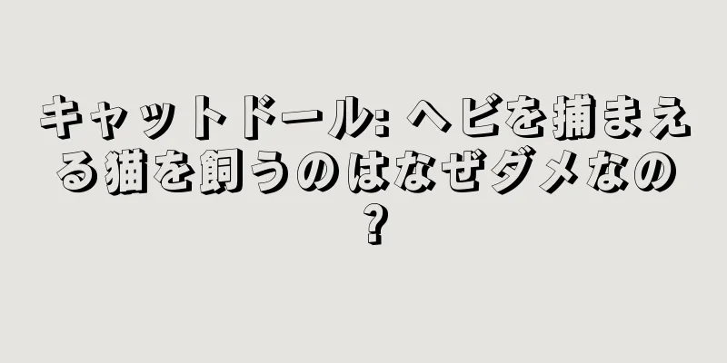 キャットドール: ヘビを捕まえる猫を飼うのはなぜダメなの？