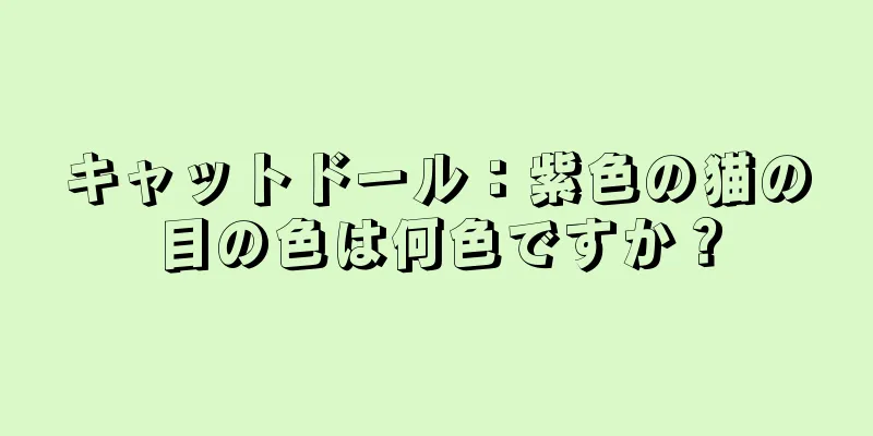 キャットドール：紫色の猫の目の色は何色ですか？