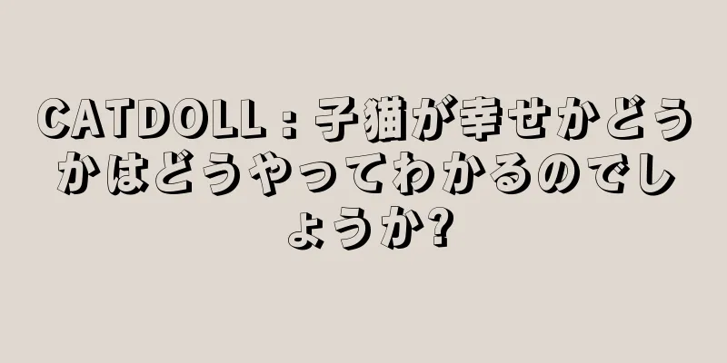 CATDOLL : 子猫が幸せかどうかはどうやってわかるのでしょうか?