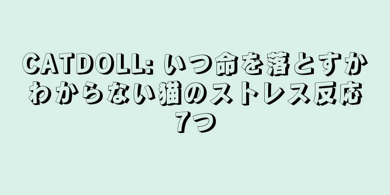 CATDOLL: いつ命を落とすかわからない猫のストレス反応7つ