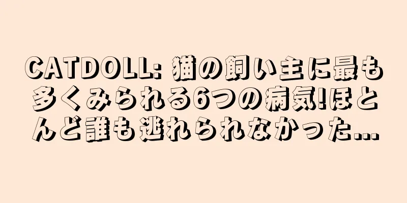 CATDOLL: 猫の飼い主に最も多くみられる6つの病気!ほとんど誰も逃れられなかった...