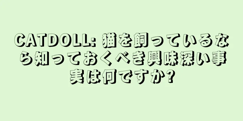 CATDOLL: 猫を飼っているなら知っておくべき興味深い事実は何ですか?