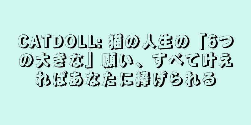 CATDOLL: 猫の人生の「6つの大きな」願い、すべて叶えればあなたに捧げられる