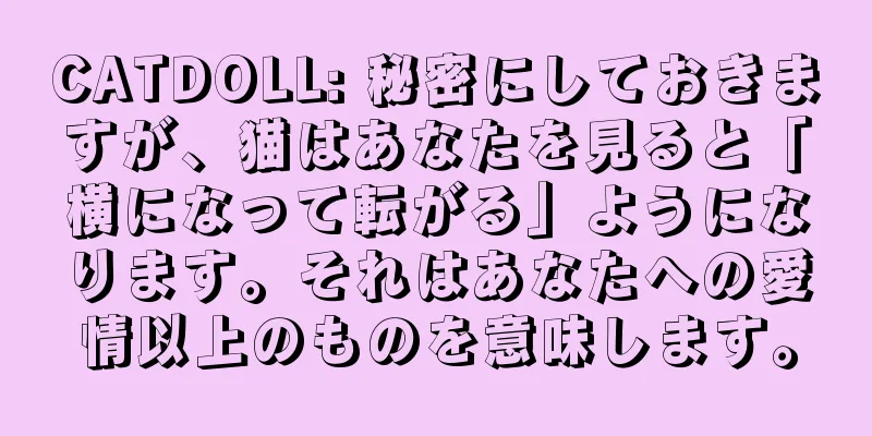 CATDOLL: 秘密にしておきますが、猫はあなたを見ると「横になって転がる」ようになります。それはあなたへの愛情以上のものを意味します。
