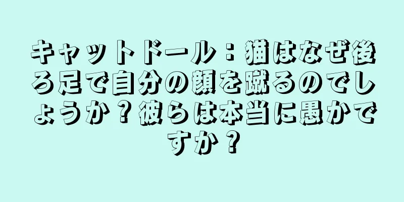 キャットドール：猫はなぜ後ろ足で自分の顔を蹴るのでしょうか？彼らは本当に愚かですか？