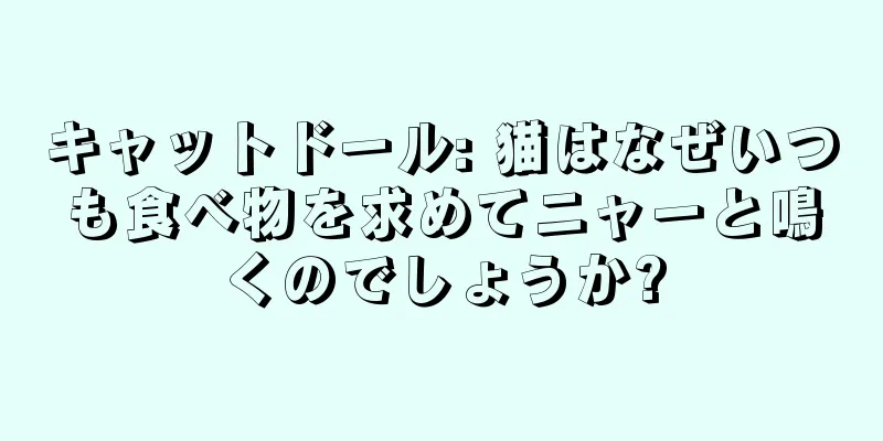 キャットドール: 猫はなぜいつも食べ物を求めてニャーと鳴くのでしょうか?