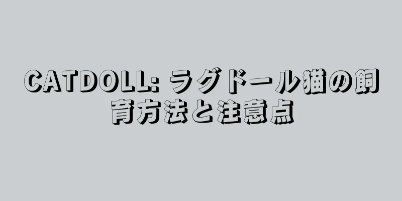 CATDOLL: ラグドール猫の飼育方法と注意点
