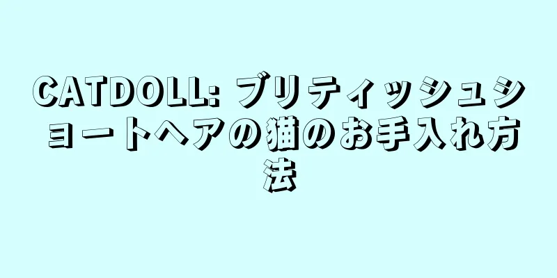 CATDOLL: ブリティッシュショートヘアの猫のお手入れ方法