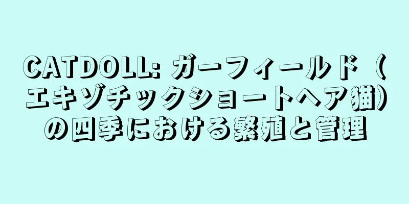 CATDOLL: ガーフィールド（エキゾチックショートヘア猫）の四季における繁殖と管理
