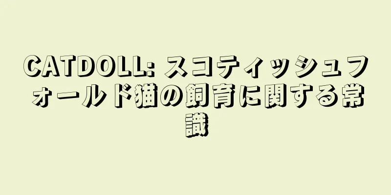 CATDOLL: スコティッシュフォールド猫の飼育に関する常識
