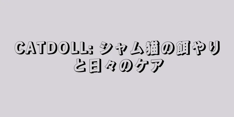 CATDOLL: シャム猫の餌やりと日々のケア