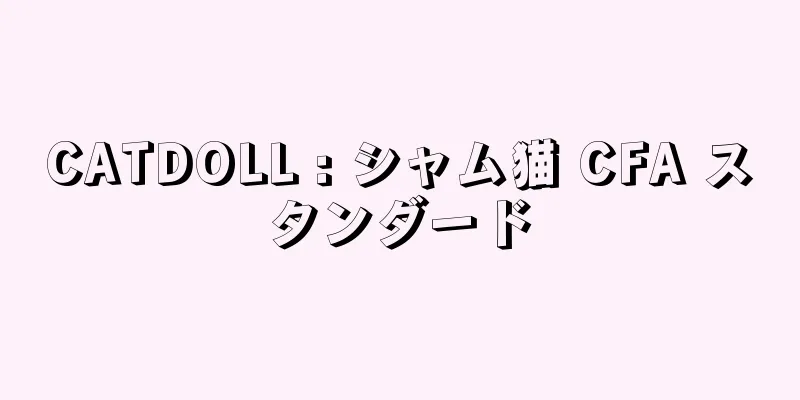 CATDOLL : シャム猫 CFA スタンダード