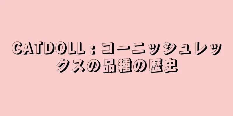 CATDOLL : コーニッシュレックスの品種の歴史