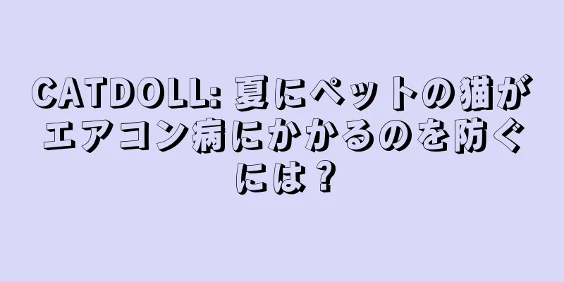 CATDOLL: 夏にペットの猫がエアコン病にかかるのを防ぐには？