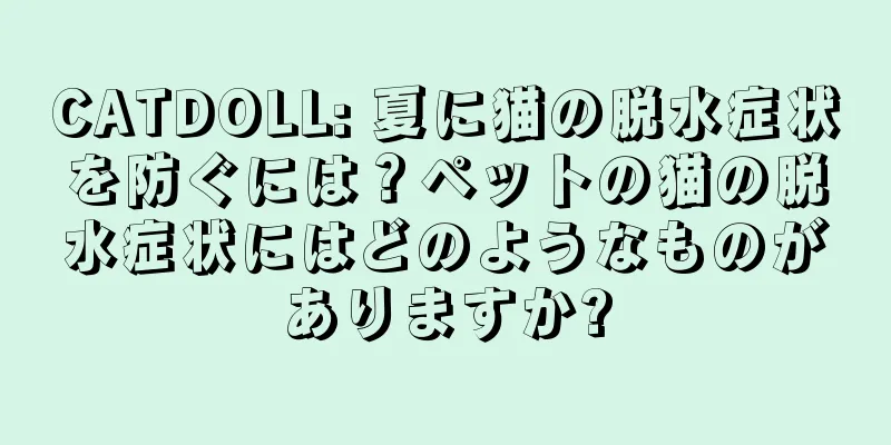 CATDOLL: 夏に猫の脱水症状を防ぐには？ペットの猫の脱水症状にはどのようなものがありますか?