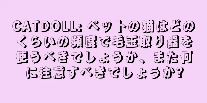 CATDOLL: ペットの猫はどのくらいの頻度で毛玉取り器を使うべきでしょうか、また何に注意すべきでしょうか?