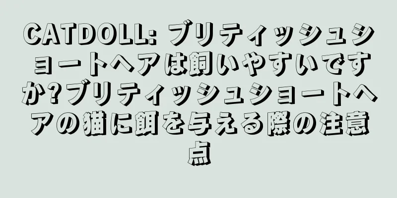 CATDOLL: ブリティッシュショートヘアは飼いやすいですか?ブリティッシュショートヘアの猫に餌を与える際の注意点