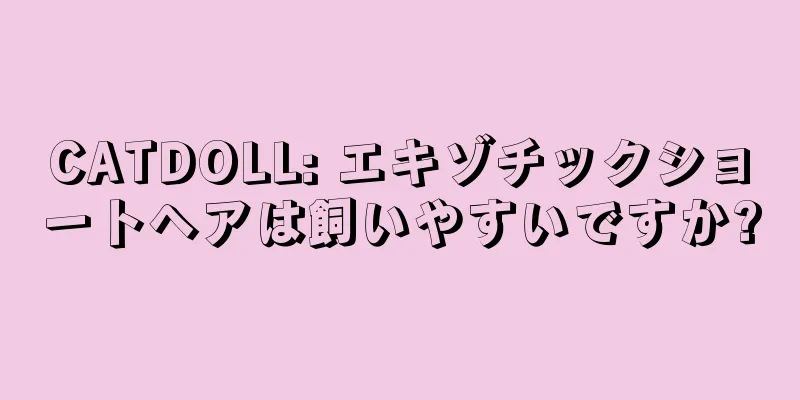 CATDOLL: エキゾチックショートヘアは飼いやすいですか?