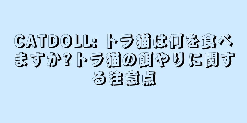CATDOLL: トラ猫は何を食べますか?トラ猫の餌やりに関する注意点