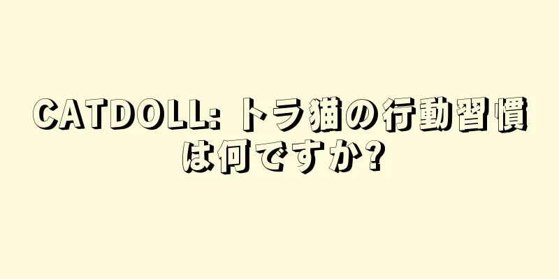 CATDOLL: トラ猫の行動習慣は何ですか?