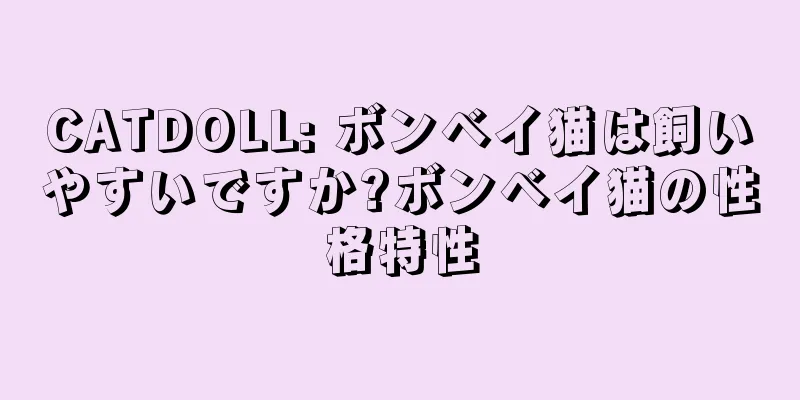 CATDOLL: ボンベイ猫は飼いやすいですか?ボンベイ猫の性格特性
