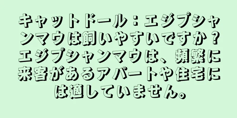 キャットドール：エジプシャンマウは飼いやすいですか？エジプシャンマウは、頻繁に来客があるアパートや住宅には適していません。