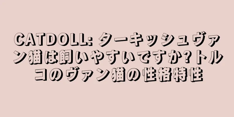 CATDOLL: ターキッシュヴァン猫は飼いやすいですか?トルコのヴァン猫の性格特性