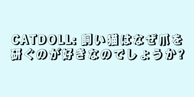 CATDOLL: 飼い猫はなぜ爪を研ぐのが好きなのでしょうか?