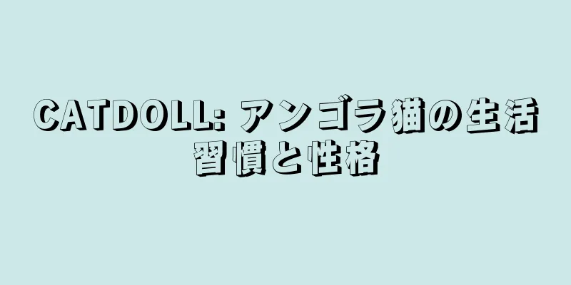 CATDOLL: アンゴラ猫の生活習慣と性格