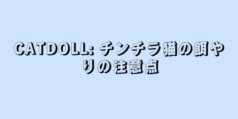 CATDOLL: チンチラ猫の餌やりの注意点