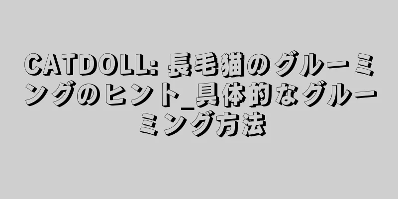 CATDOLL: 長毛猫のグルーミングのヒント_具体的なグルーミング方法