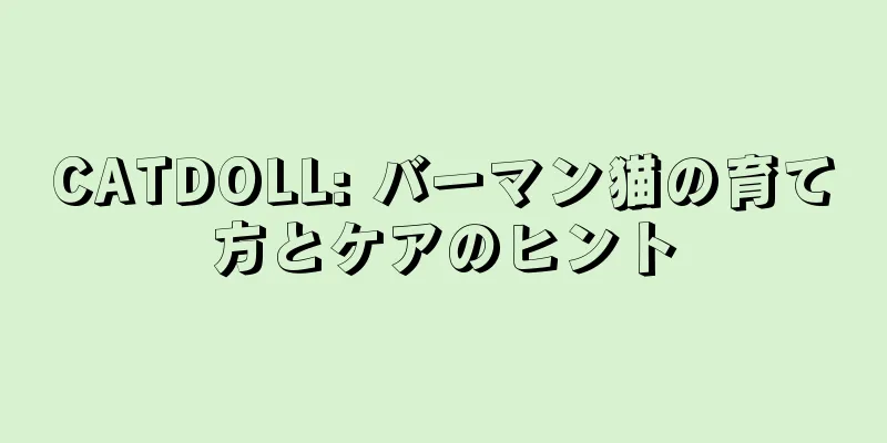 CATDOLL: バーマン猫の育て方とケアのヒント