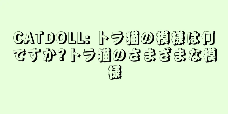 CATDOLL: トラ猫の模様は何ですか?トラ猫のさまざまな模様