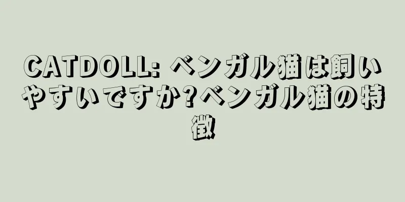 CATDOLL: ベンガル猫は飼いやすいですか?ベンガル猫の特徴