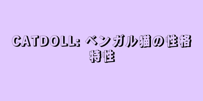 CATDOLL: ベンガル猫の性格特性