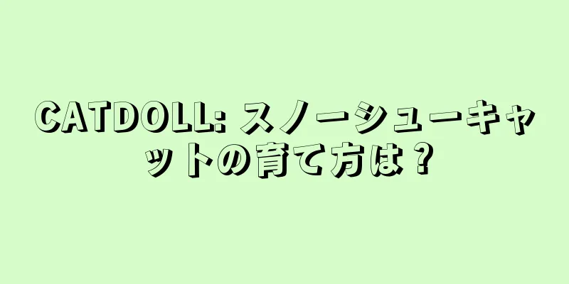 CATDOLL: スノーシューキャットの育て方は？