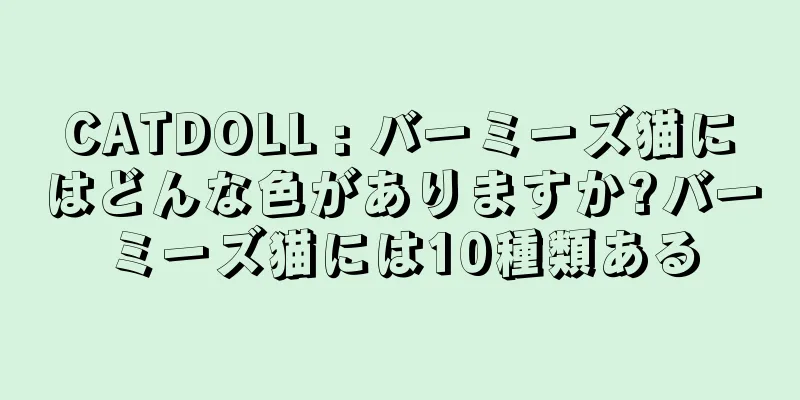 CATDOLL : バーミーズ猫にはどんな色がありますか?バーミーズ猫には10種類ある