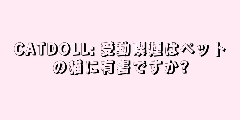 CATDOLL: 受動喫煙はペットの猫に有害ですか?