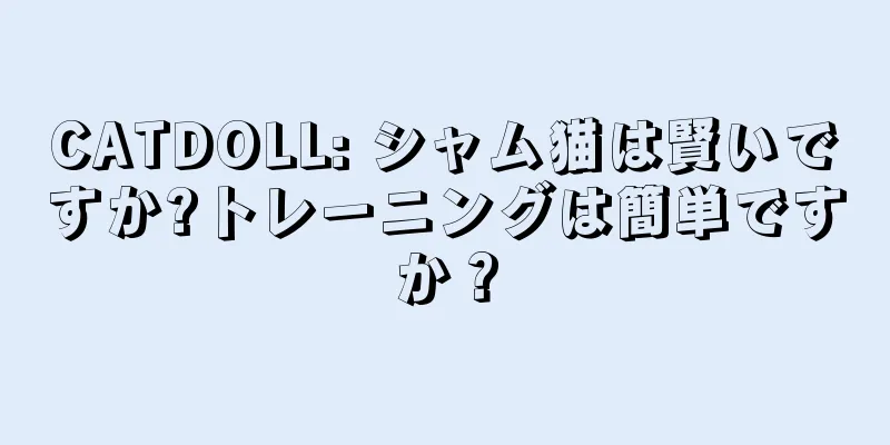 CATDOLL: シャム猫は賢いですか?トレーニングは簡単ですか？