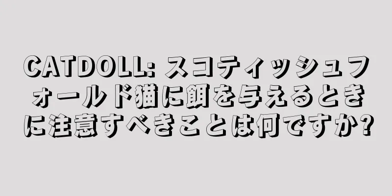 CATDOLL: スコティッシュフォールド猫に餌を与えるときに注意すべきことは何ですか?
