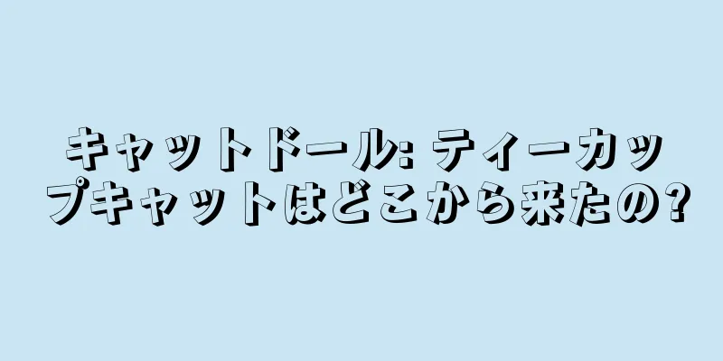 キャットドール: ティーカップキャットはどこから来たの?