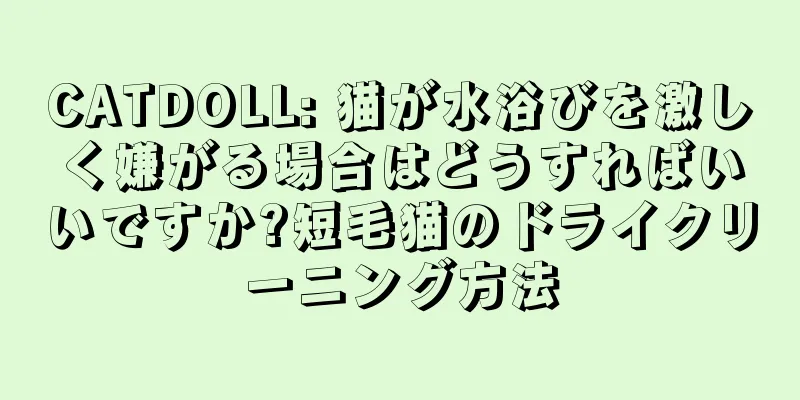 CATDOLL: 猫が水浴びを激しく嫌がる場合はどうすればいいですか?短毛猫のドライクリーニング方法