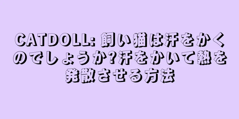 CATDOLL: 飼い猫は汗をかくのでしょうか?汗をかいて熱を発散させる方法